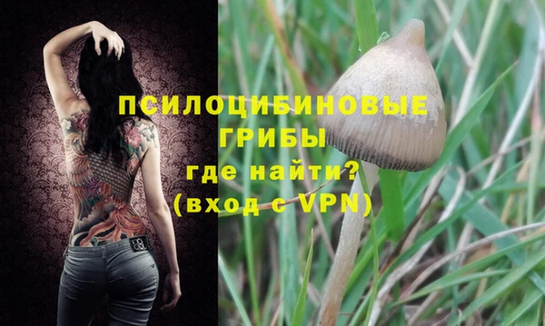 сатива Алзамай