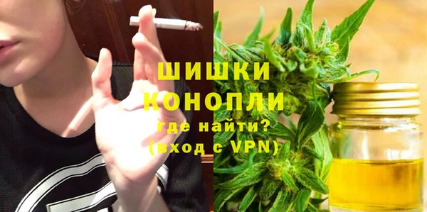 сатива Алзамай