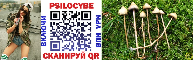 Псилоцибиновые грибы Magic Shrooms  нарко площадка клад  Саранск 